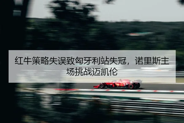 hong-niu-ce-lve-shi-wu-zhi-xiong-ya-li-zhan-shi-guan-nuo-li-si-zhu-chang-tiao-zhan-mai-kai-lun-2-334.jpg
